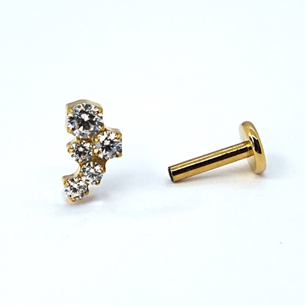 viie valge kiviga kuldne kõrvaehe